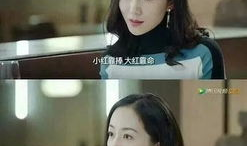 娱乐圈全员吃瓜小说,全民瓜田，谁主沉浮